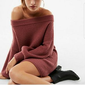 Express Sweater Dress